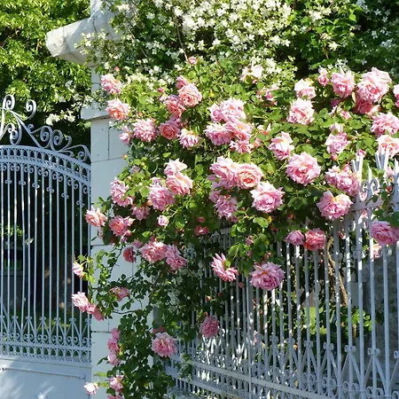 Les Jardins De Claunay * La Roche-Rigault